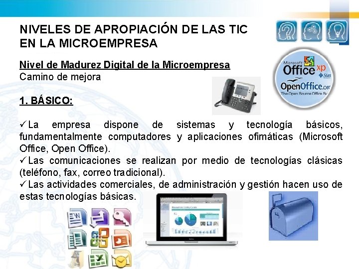 NIVELES DE APROPIACIÓN DE LAS TIC EN LA MICROEMPRESA Nivel de Madurez Digital de