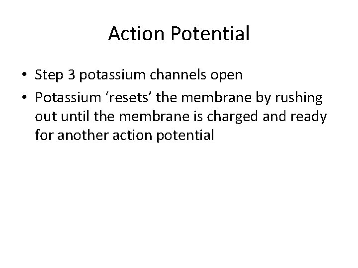 Action Potential • Step 3 potassium channels open • Potassium ‘resets’ the membrane by