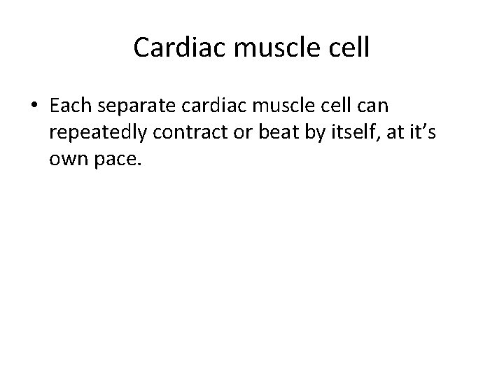 Cardiac muscle cell • Each separate cardiac muscle cell can repeatedly contract or beat