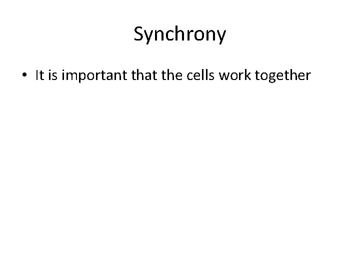 Synchrony • It is important that the cells work together 