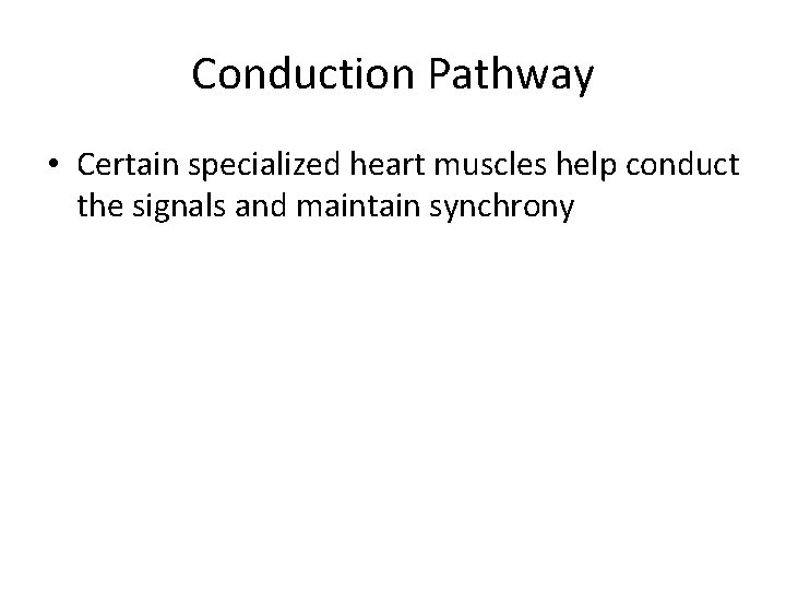 Conduction Pathway • Certain specialized heart muscles help conduct the signals and maintain synchrony