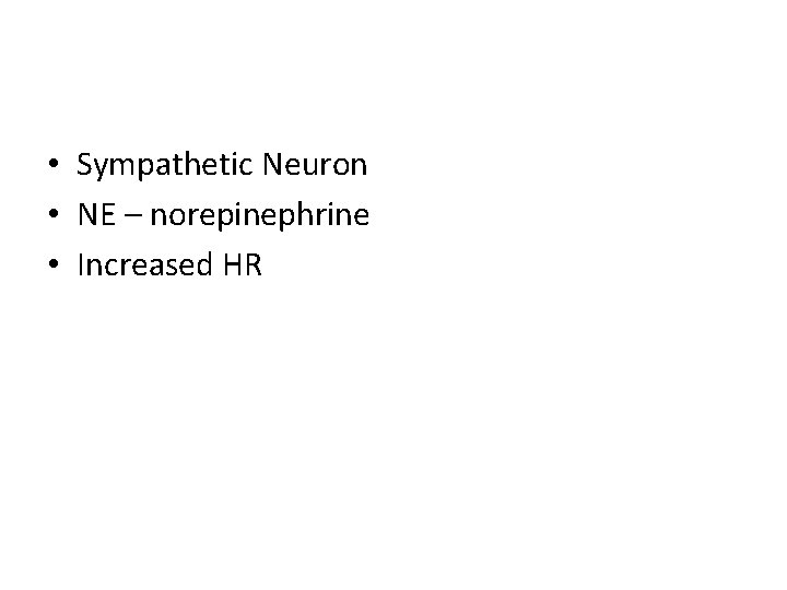  • Sympathetic Neuron • NE – norepinephrine • Increased HR 