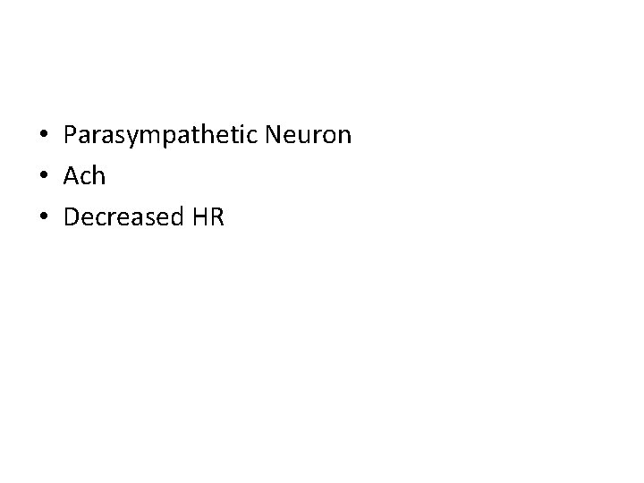  • Parasympathetic Neuron • Ach • Decreased HR 