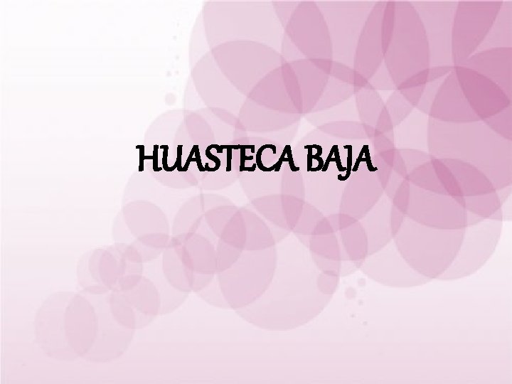 HUASTECA BAJA 