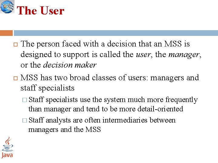 The User The person faced with a decision that an MSS is designed to