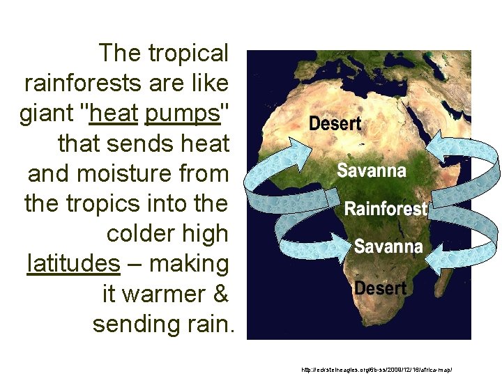 The tropical rainforests are like giant "heat pumps" that sends heat and moisture from