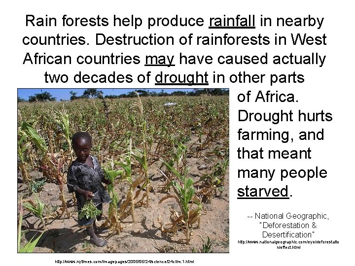 Rain forests help produce rainfall in nearby countries. Destruction of rainforests in West African