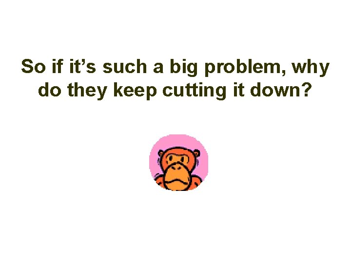 So if it’s such a big problem, why do they keep cutting it down?