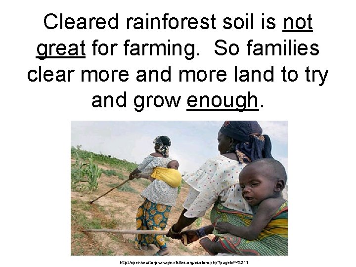 Cleared rainforest soil is not great for farming. So families clear more and more