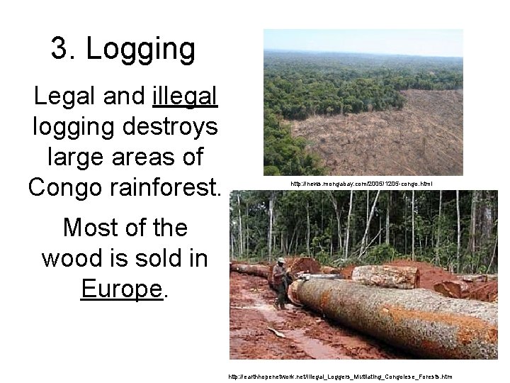 3. Logging Legal and illegal logging destroys large areas of Congo rainforest. http: //news.