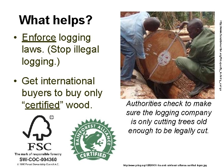 http: //www. forestsmonitor. org/fr/capacity_building_congo What helps? • Enforce logging laws. (Stop illegal logging. )