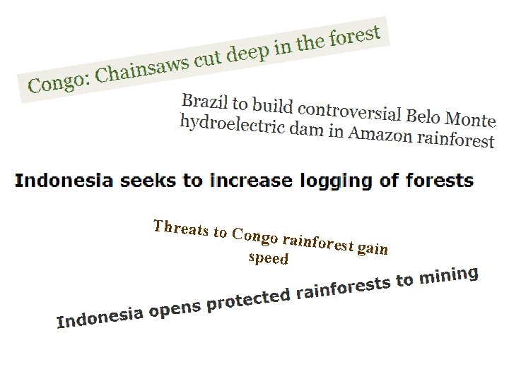 Threats to C ongo rainfo rest gain speed 