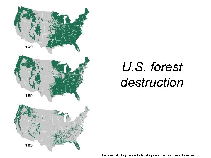 U. S. forest destruction http: //www. globalchange. umich. edu/globalchange 2/current/lectures/deforest. html 