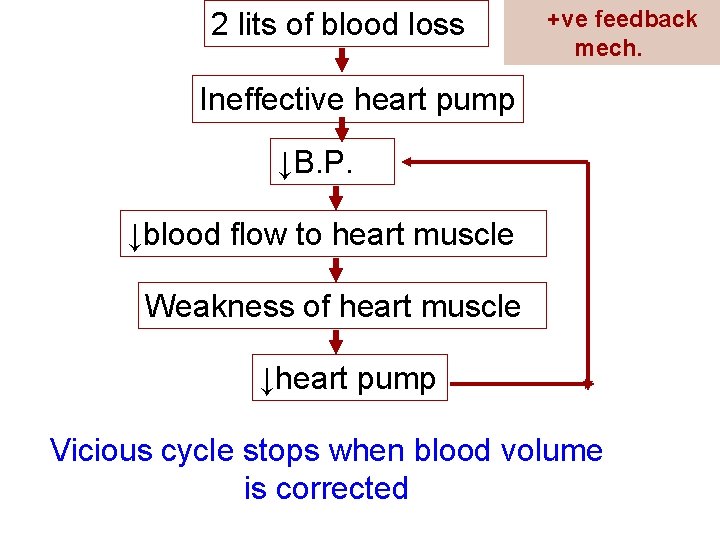 2 lits of blood loss +ve feedback mech. Ineffective heart pump ↓B. P. ↓blood