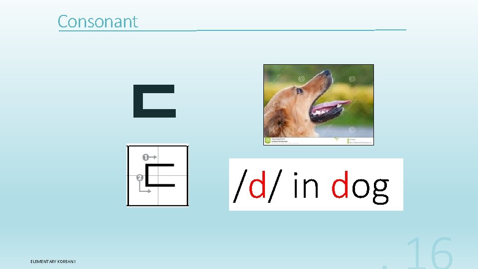 Consonant ㄷ /d/ in dog ELEMENTARY KOREAN I 