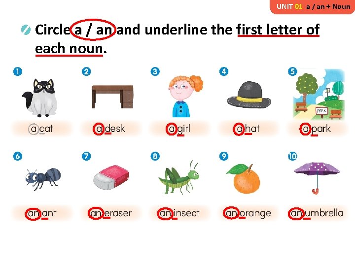 UNIT 01 a / an + Noun Circle a / an and underline the