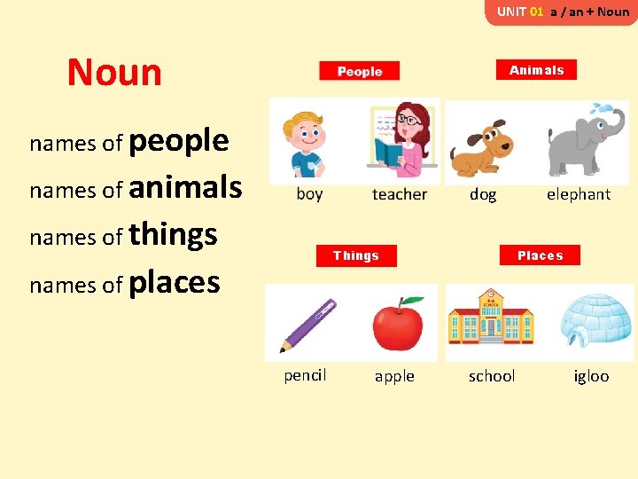 UNIT 01 a / an + Noun Animals names of people names of animals