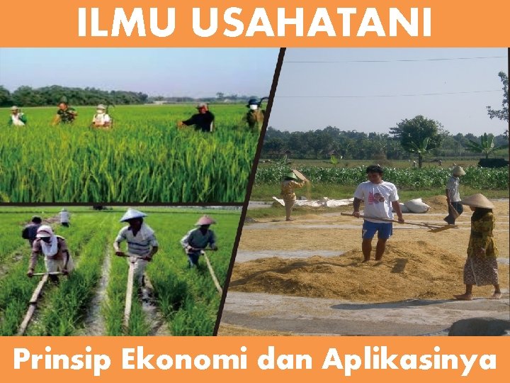 ILMU USAHATANI Prinsip Ekonomi dan Aplikasinya 