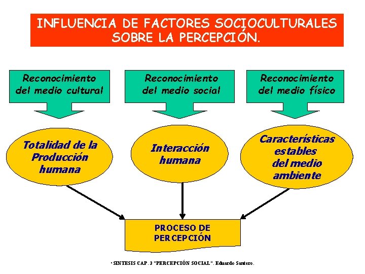 INFLUENCIA DE FACTORES SOCIOCULTURALES SOBRE LA PERCEPCIÓN. Reconocimiento del medio cultural Totalidad de la