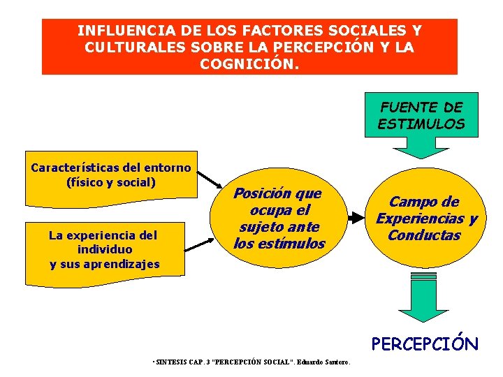 INFLUENCIA DE LOS FACTORES SOCIALES Y CULTURALES SOBRE LA PERCEPCIÓN Y LA COGNICIÓN. FUENTE