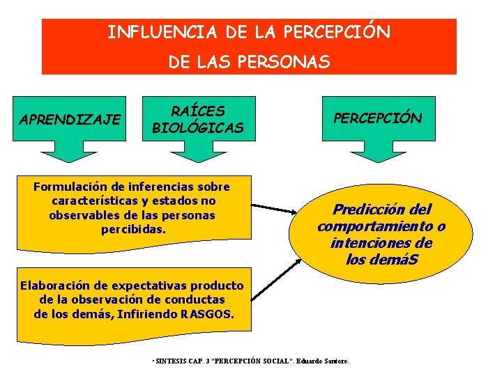INFLUENCIA DE LA PERCEPCIÓN DE LAS PERSONAS APRENDIZAJE RAÍCES BIOLÓGICAS Formulación de inferencias sobre INFLUENCIA DE LA PERCEPCIÓN DE LAS PERSONAS APRENDIZAJE RAÍCES BIOLÓGICAS Formulación de inferencias sobre