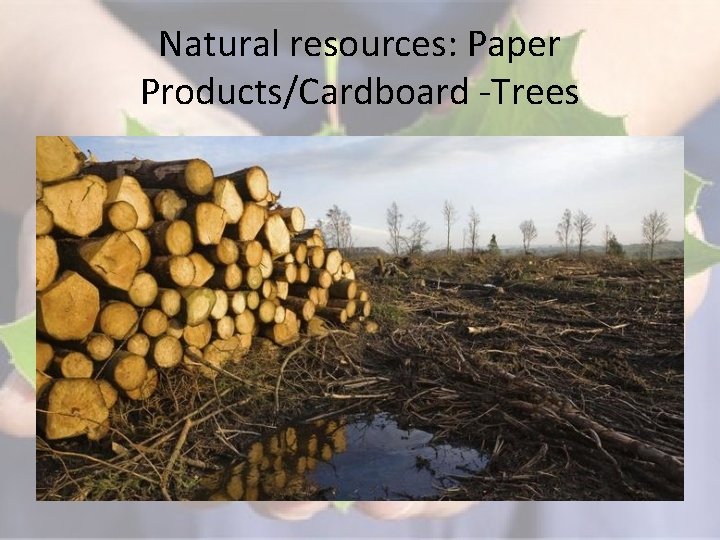 Natural resources: Paper Products/Cardboard -Trees 