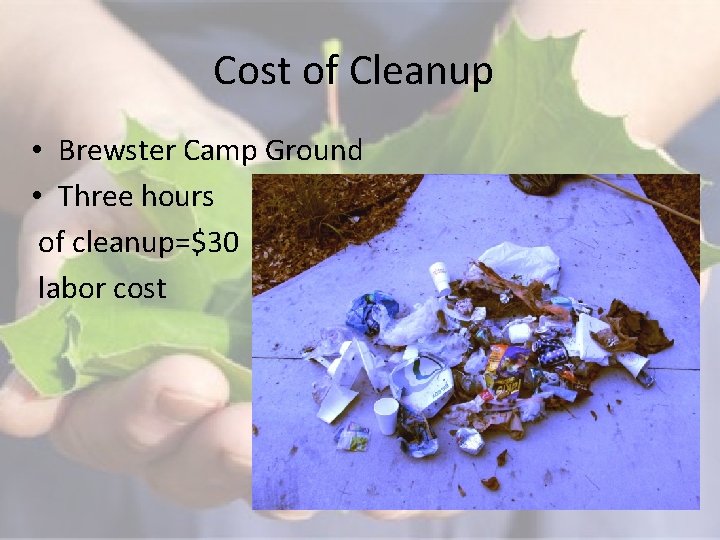 Cost of Cleanup • Brewster Camp Ground • Three hours of cleanup=$30 labor cost