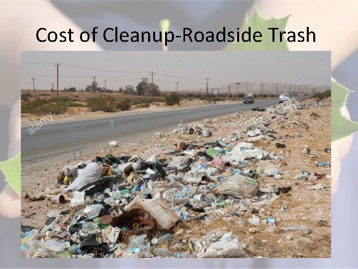 Cost of Cleanup-Roadside Trash 