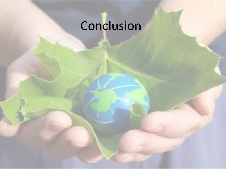 Conclusion 