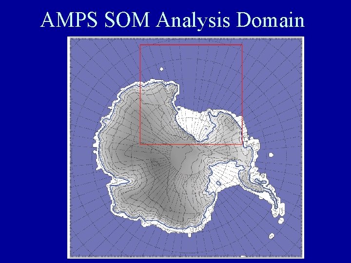 AMPS SOM Analysis Domain 