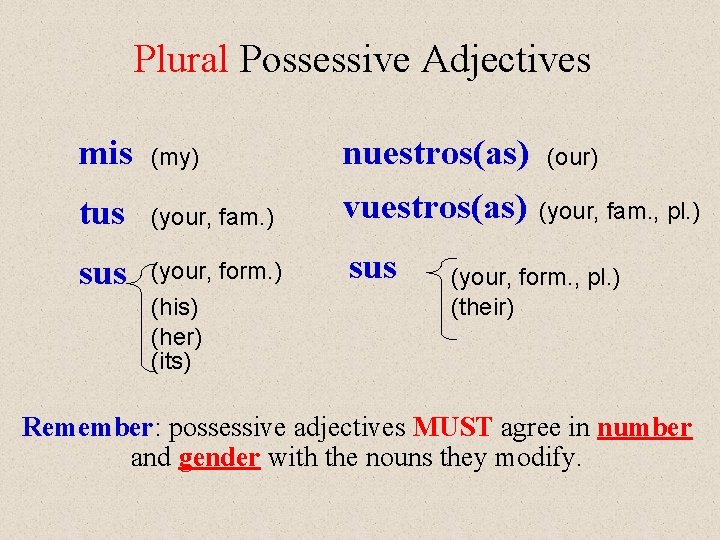 Plural Possessive Adjectives mis (my) tus (your, fam. ) sus (your, form. ) (his)