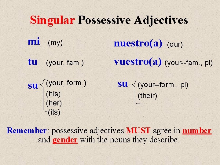 Singular Possessive Adjectives mi (my) nuestro(a) tu (your, fam. ) vuestro(a) (your--fam. , pl)