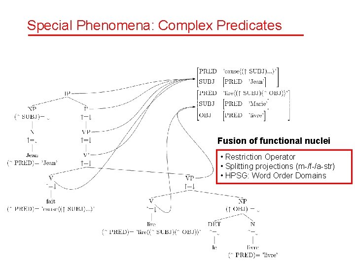 Special Phenomena: Complex Predicates Fusion of functional nuclei • Restriction Operator • Splitting projections