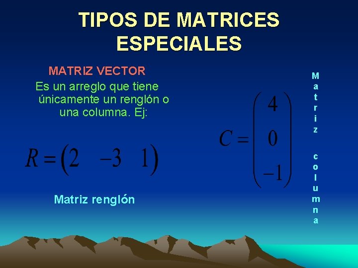 TIPOS DE MATRICES ESPECIALES MATRIZ VECTOR Es un arreglo que tiene únicamente un renglón