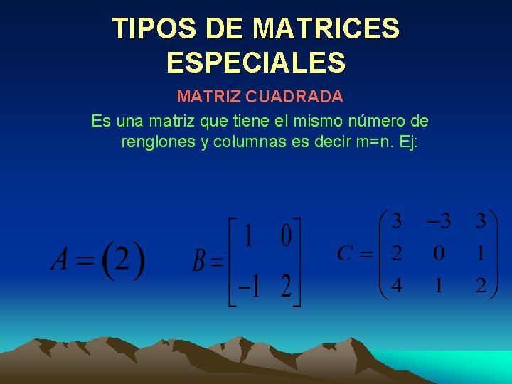 TIPOS DE MATRICES ESPECIALES MATRIZ CUADRADA Es una matriz que tiene el mismo número