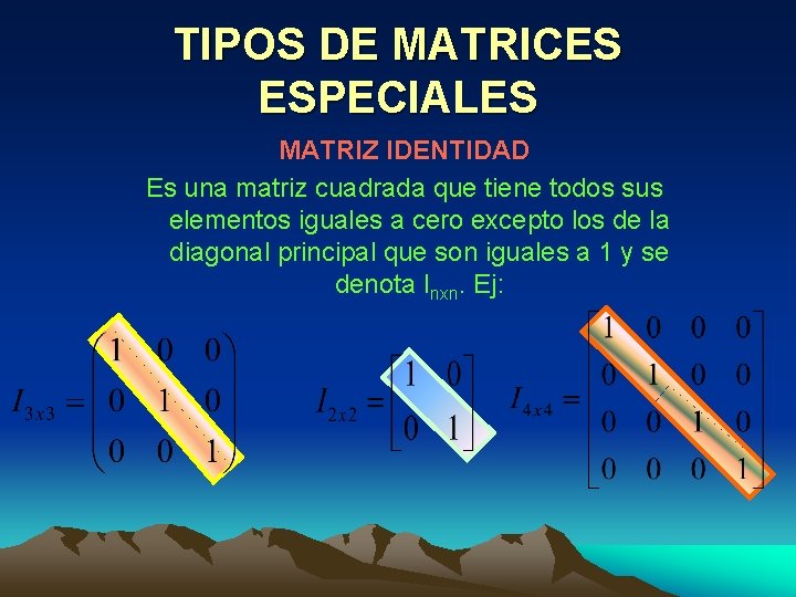 TIPOS DE MATRICES ESPECIALES MATRIZ IDENTIDAD Es una matriz cuadrada que tiene todos sus