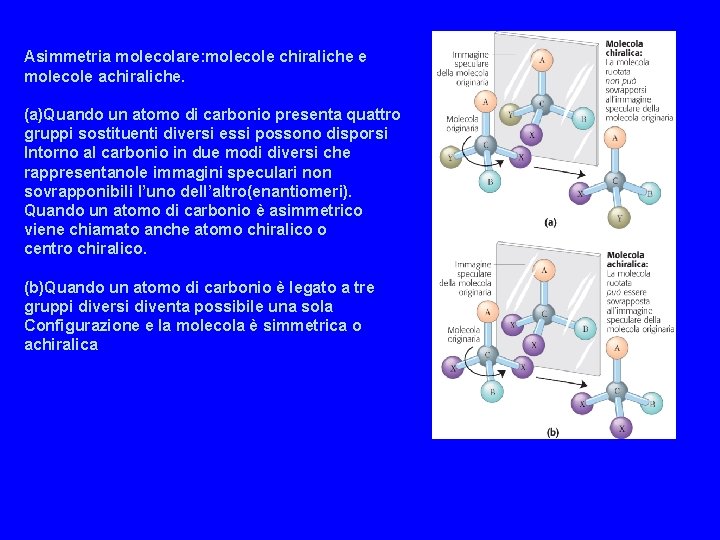 Asimmetria molecolare: molecole chiraliche e molecole achiraliche. (a)Quando un atomo di carbonio presenta quattro