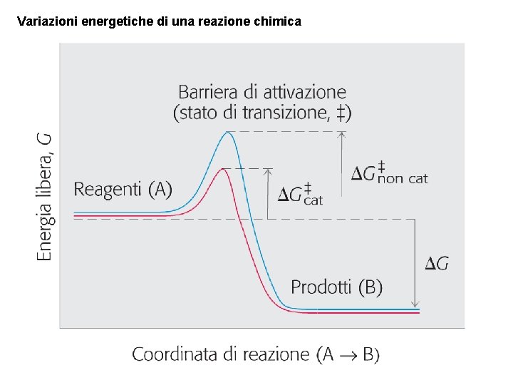 Variazioni energetiche di una reazione chimica 