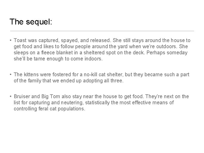 The sequel: • Toast was captured, spayed, and released. She still stays around the