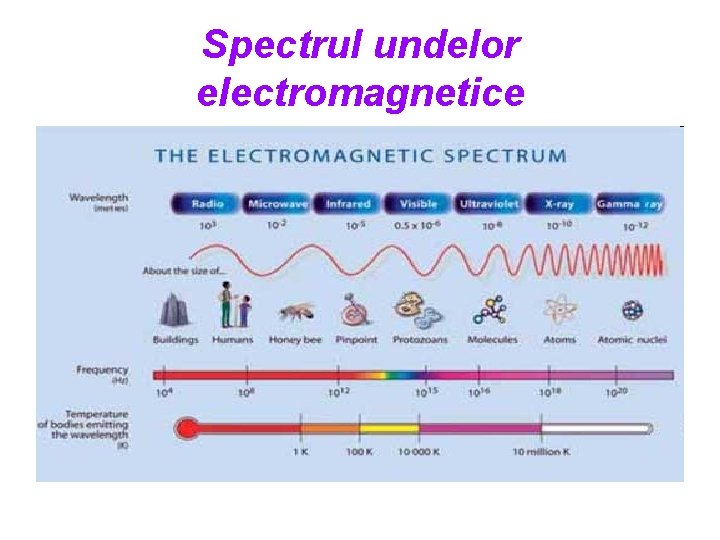 Spectrul undelor electromagnetice 