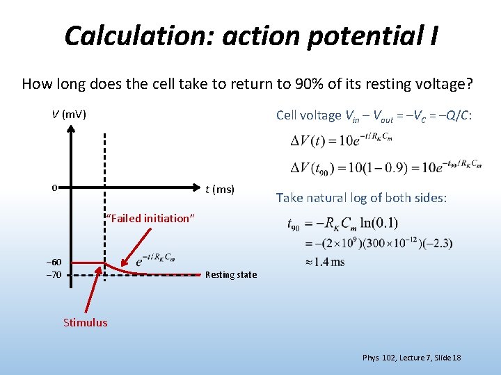 Calculation: action potential I How long does the cell take to return to 90%