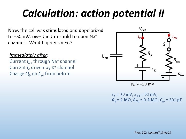 Calculation: action potential II Now, the cell was stimulated and depolarized to – 50