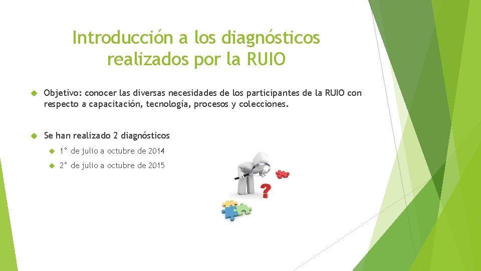 Introducción a los diagnósticos realizados por la RUIO Objetivo: conocer las diversas necesidades de