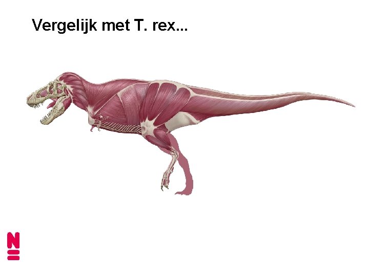 Vergelijk met T. rex. . . 