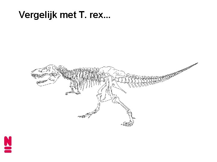 Vergelijk met T. rex. . . 