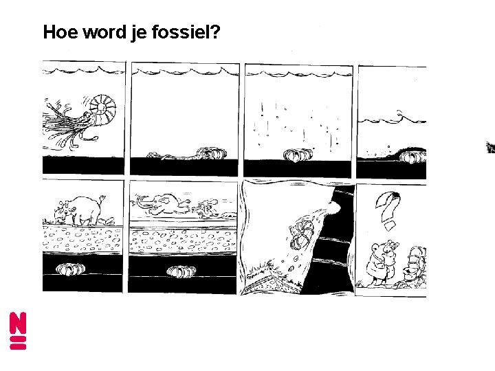 Hoe word je fossiel? 