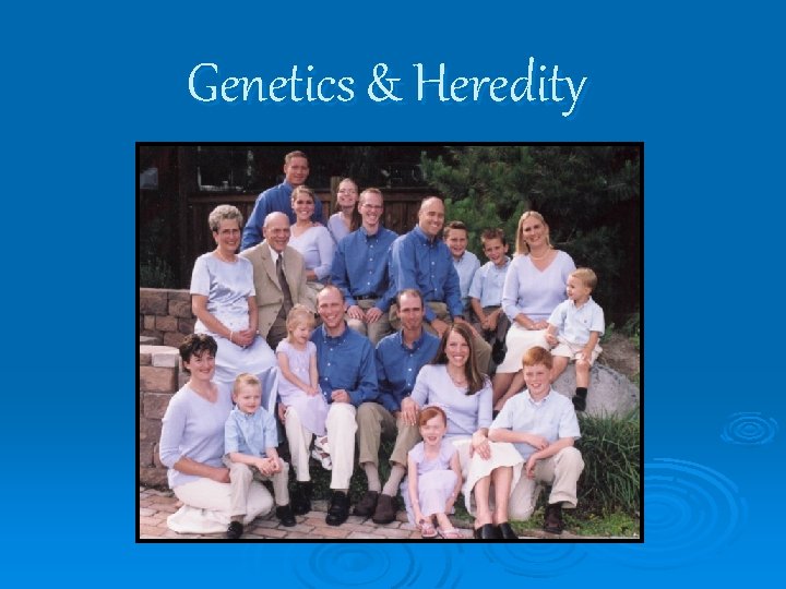 Genetics & Heredity 