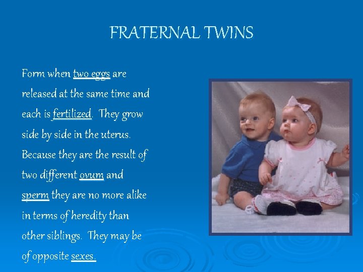 FRATERNAL TWINS Form when two eggs are released at the same time and each