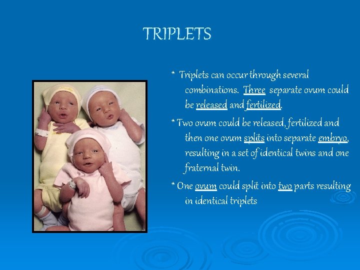 TRIPLETS * Triplets can occur through several combinations. Three separate ovum could be released