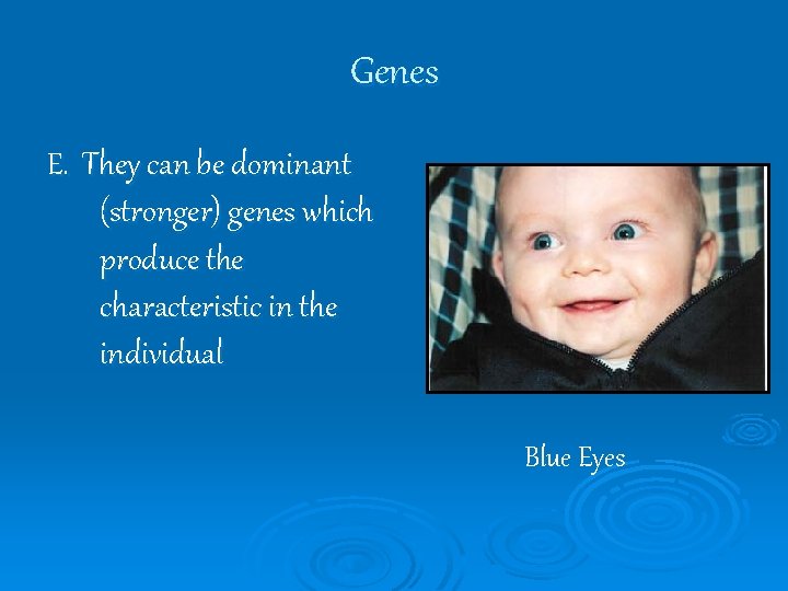 Genes E. They can be dominant (stronger) genes which produce the characteristic in the